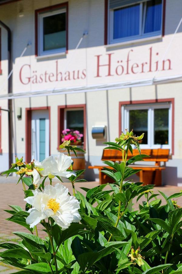 Gaestehaus Hoeferlin Bad Bellingen Buitenkant foto